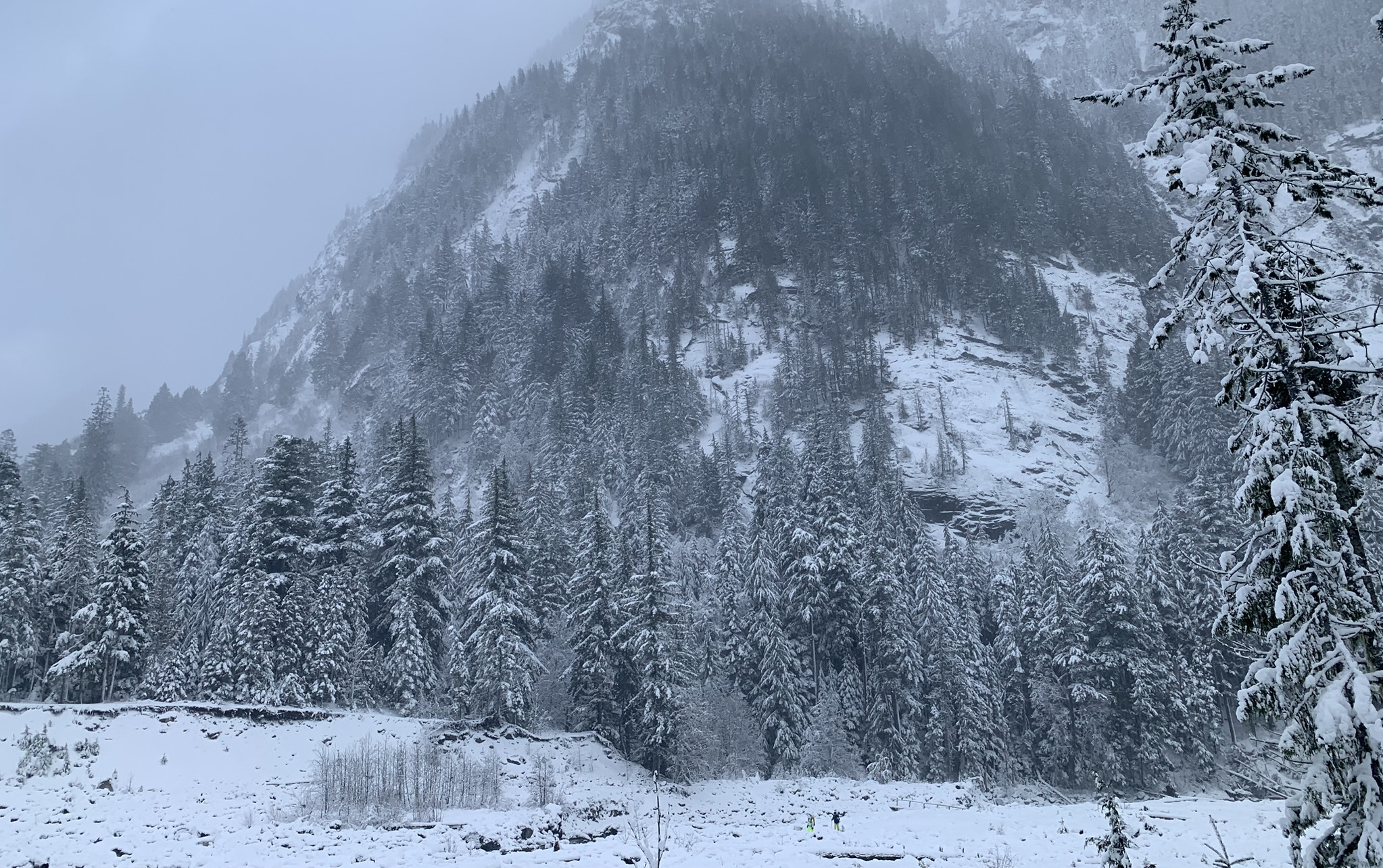 Mt. Rainier National Park, Washington